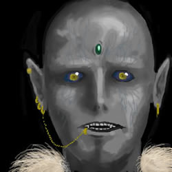 Graphics (C) �ʂ肷�����go ����